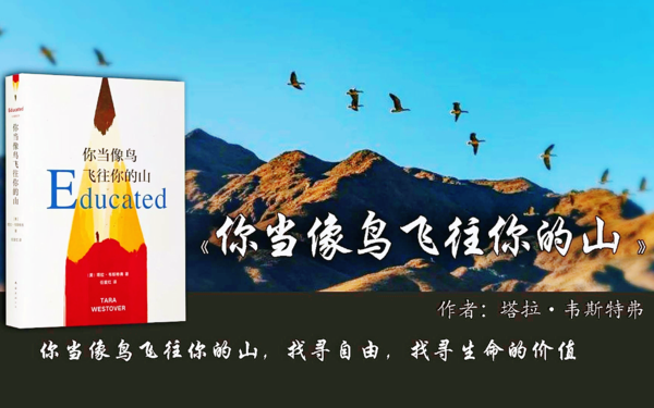 你当像鸟飞往你的山